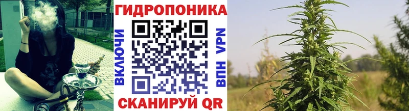  COCAIN Владимир
