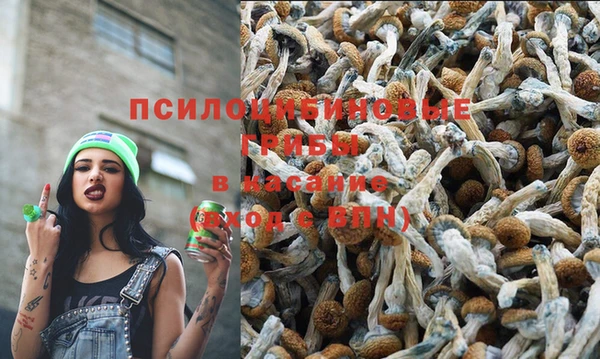 кокаин Нефтекумск
