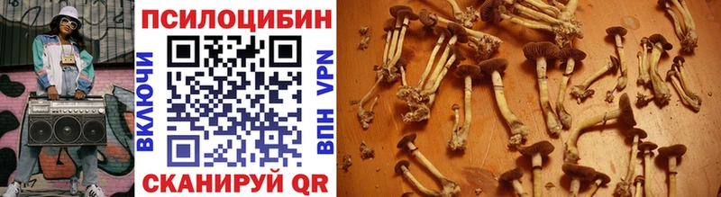 Галлюциногенные грибы Psilocybine cubensis  Владимир 