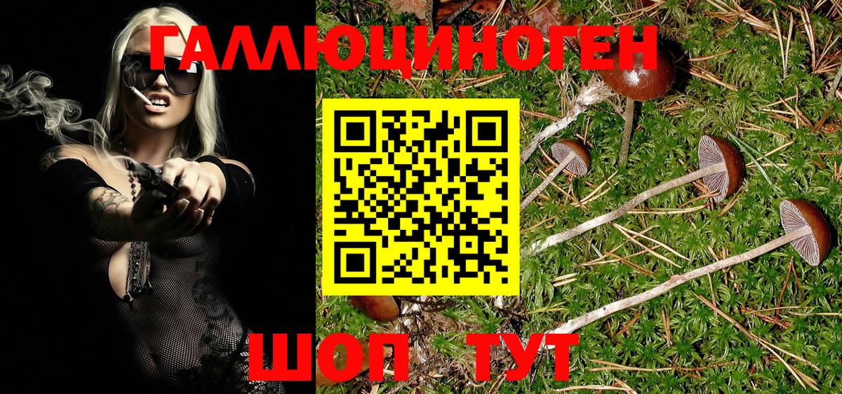 даркнет сайт  Владимир  Псилоцибиновые грибы ЛСД 
