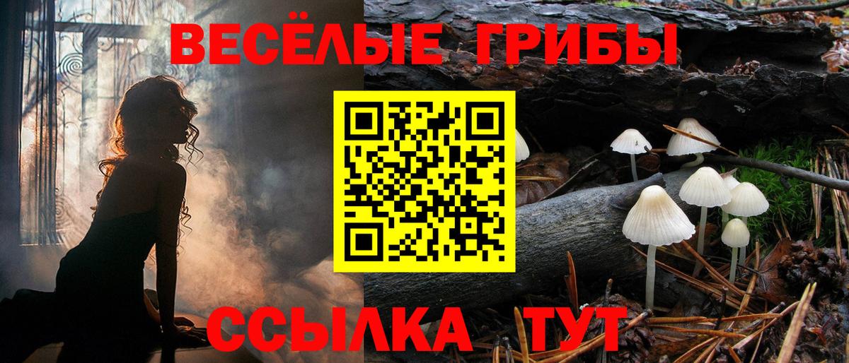 Владимир  Галлюциногенные грибы Psilocybine cubensis  купить  сайты  Вход с VPN 