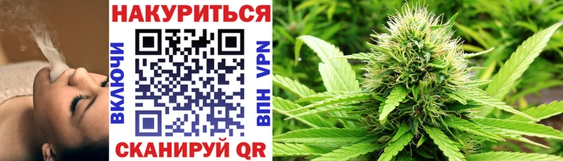 мега   Владимир  Шишки марихуана планчик 