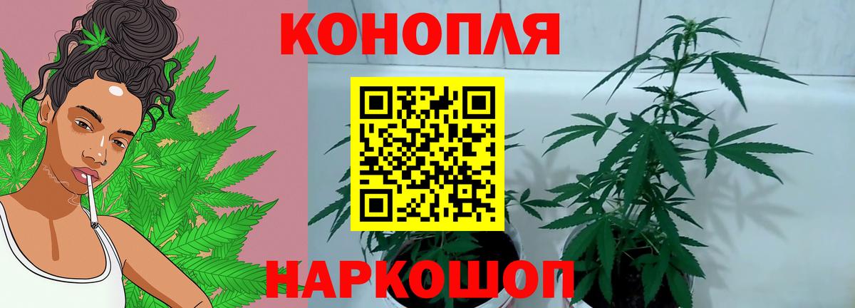 МАРИХУАНА VHQ Владимир